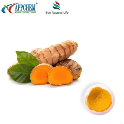 Куркумин прах HPLC95%; Куркуминоиди; Екстракт от куркума