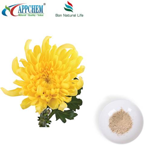 Flos Chrysanthemi екстракт на прах