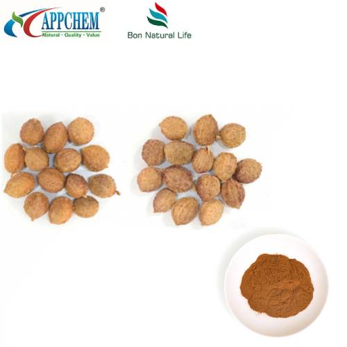 Екстракт от Fructus Amomi