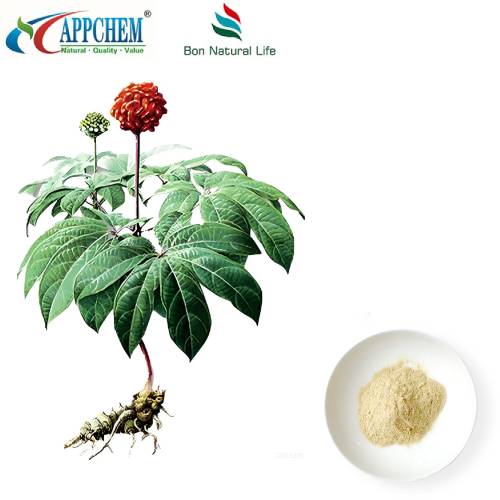 Екстракт от радикал и коренище на Notoginseng