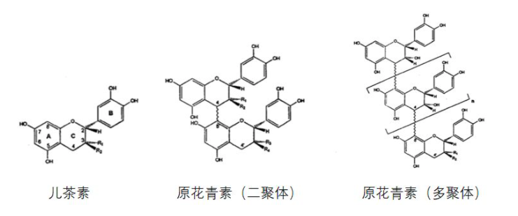 proanthocyanidin family proanthocyanidin family