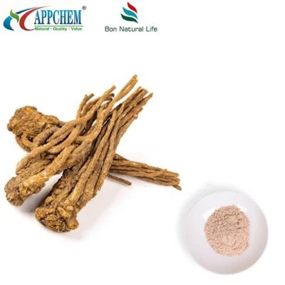 Прах от екстракт от Angelica Sinensis