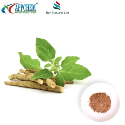 Екстракт на Ashwagandha Powder (Withanolides) Производство 30655-48-2