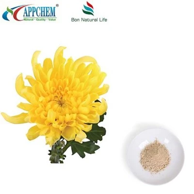 Flos Chrysanthemi екстракт на прах