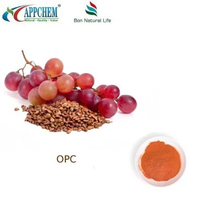 Екстракт от гроздови семена 95 OPC