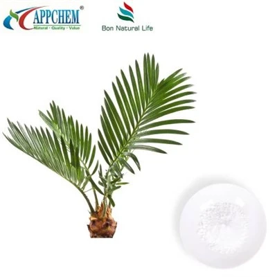 Прах от екстракт от Saw Palmetto